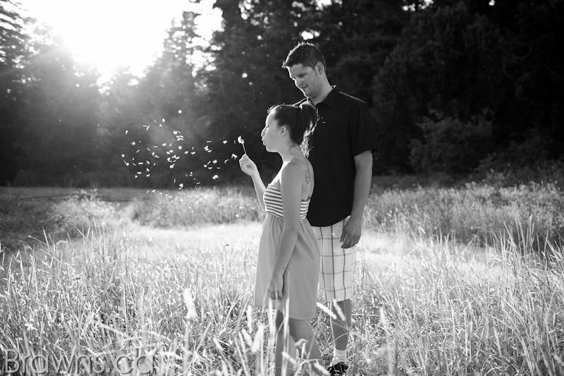 parksville engagement photos