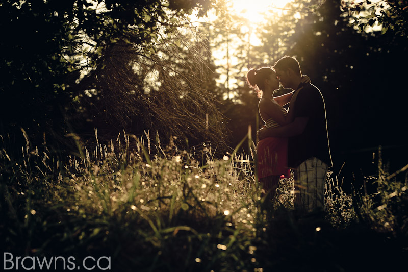 parksville engagement photos