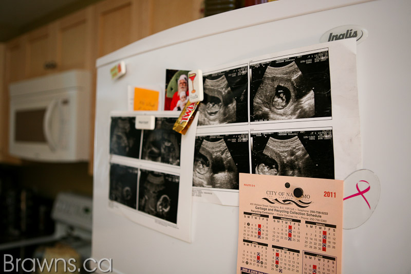 Nanaimo Maternity Photographer