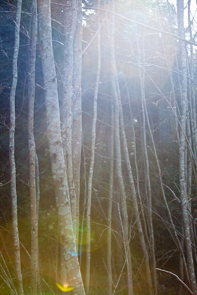 Neck Point Park Nanaimo