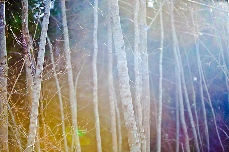 Neck Point Park Nanaimo