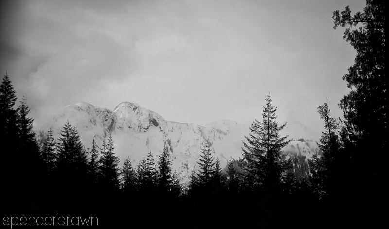 Tofino