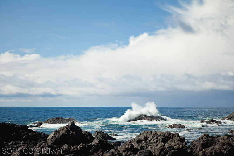 Tofino