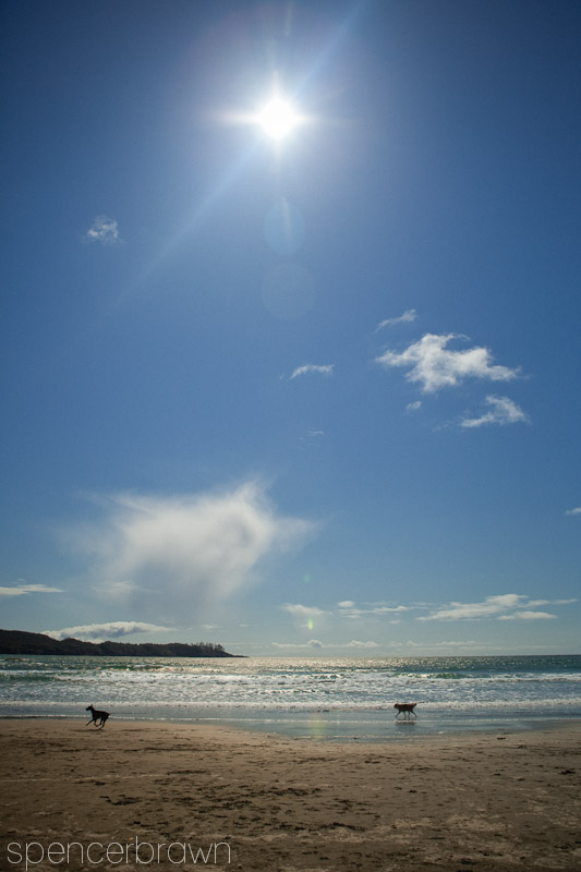 Tofino