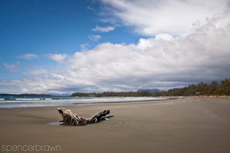 Tofino