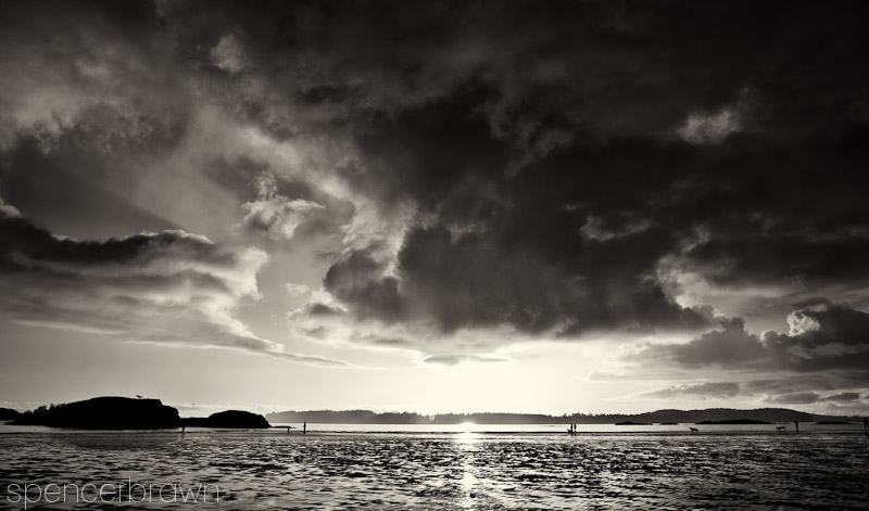 Tofino