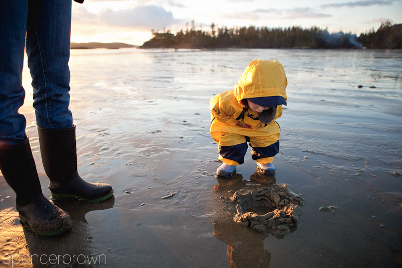 Tofino
