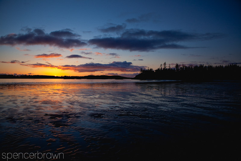 Tofino