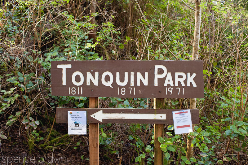 Tofino