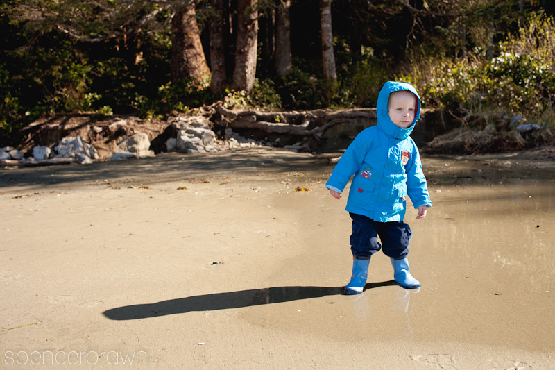 Tofino