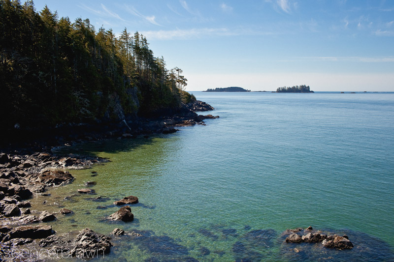 Tofino
