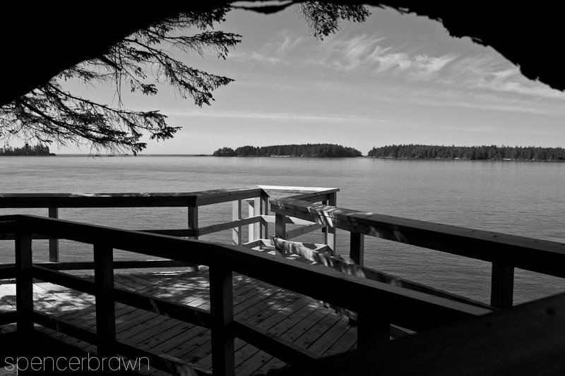 Tofino