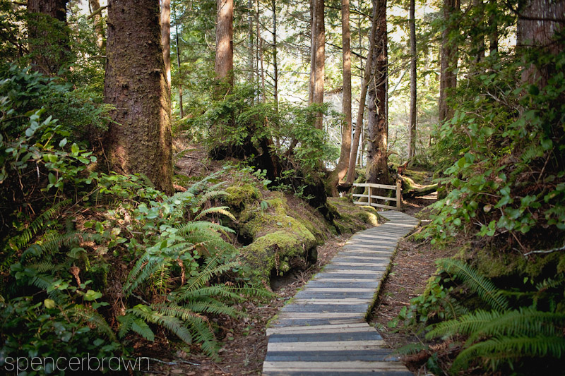 Tofino